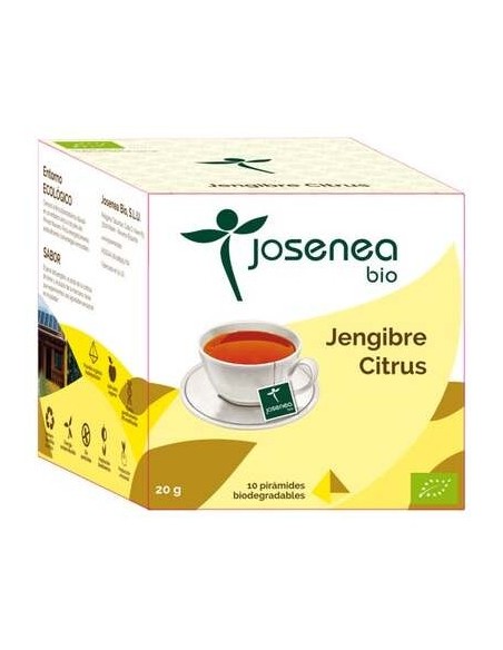 Jengibre-Citrus 10Piramides Ensobradas Bio