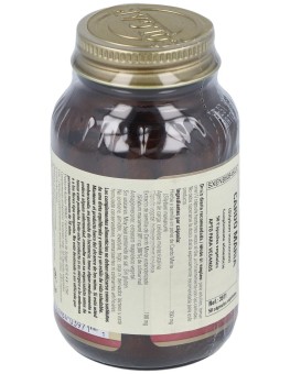 Cardo Mariano (Sylibum...