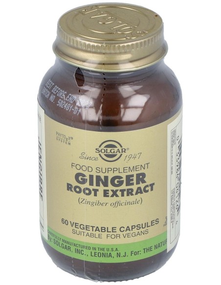 Jengibre-Raiz-(Ginger-Zingiber Off.) 60Veg