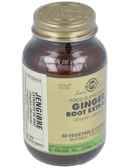 Jengibre-Raiz-(Ginger-Zingiber Off.) 60Veg