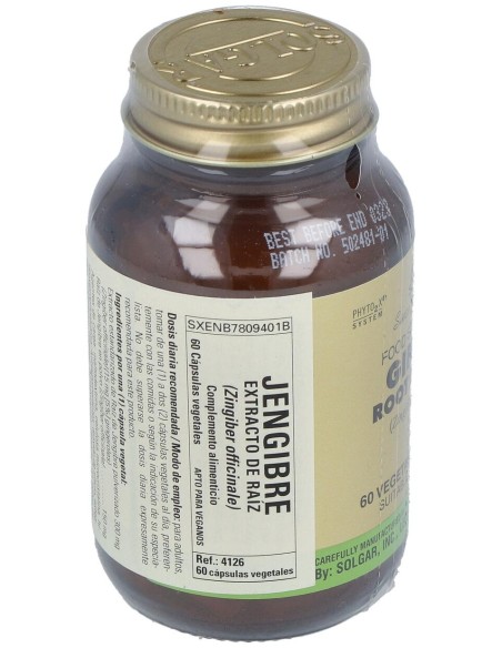 Jengibre-Raiz-(Ginger-Zingiber Off.) 60Veg