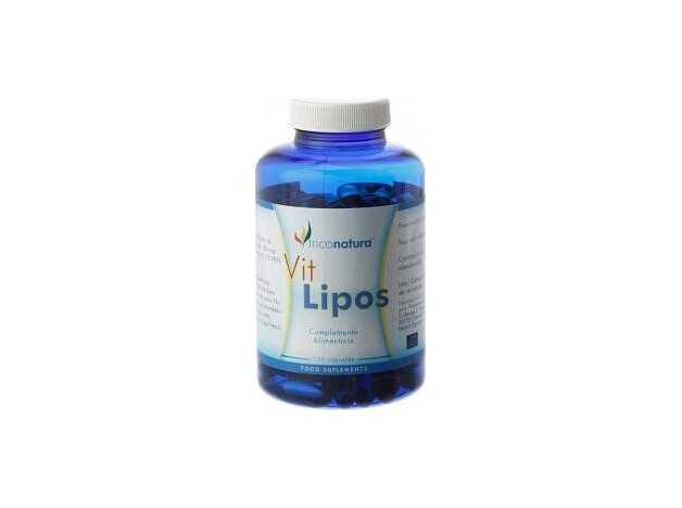 Ginkgo Biloba Infusion 25Bolsitas