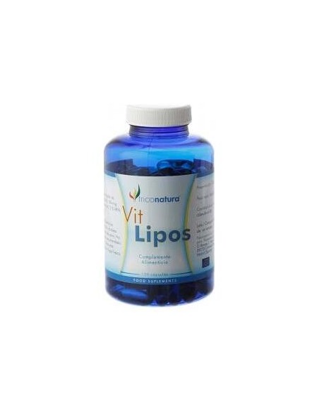 Ginkgo Biloba Infusion 25Bolsitas