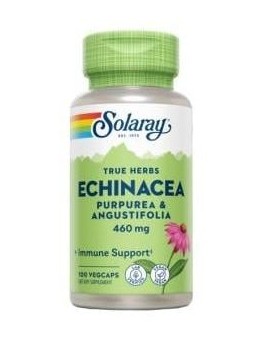 Echinacea...