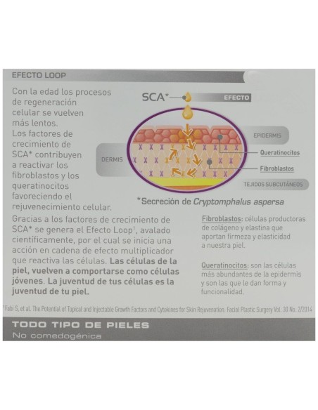 Radiance Proteoglicanos Oil-Free Ampollas 30 X 2 Ml
