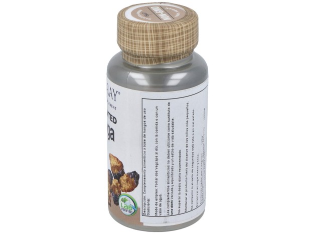 Solaray Chaga Fermented 500Mg 60Caps