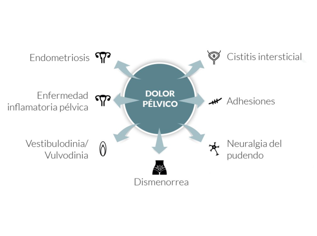 Tiobec Dol 20 Comprimidos