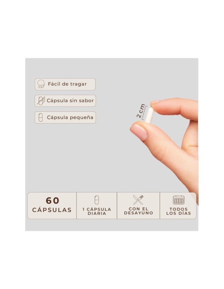 Kobho Hair & Nail Booster 60 Cápsulas