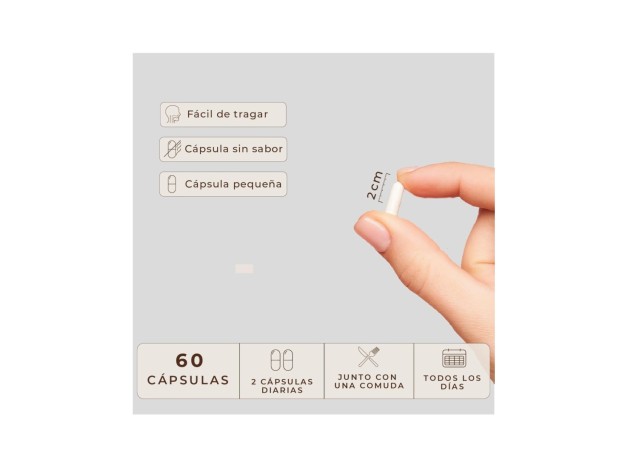 Kobho W-Balance 60 Cápsulas