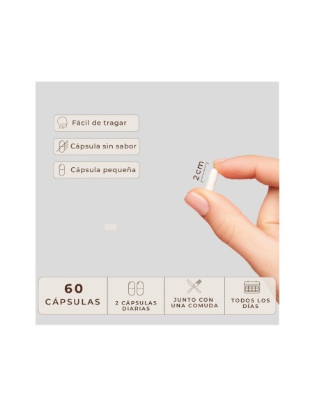 Kobho W-Balance 60 Cápsulas