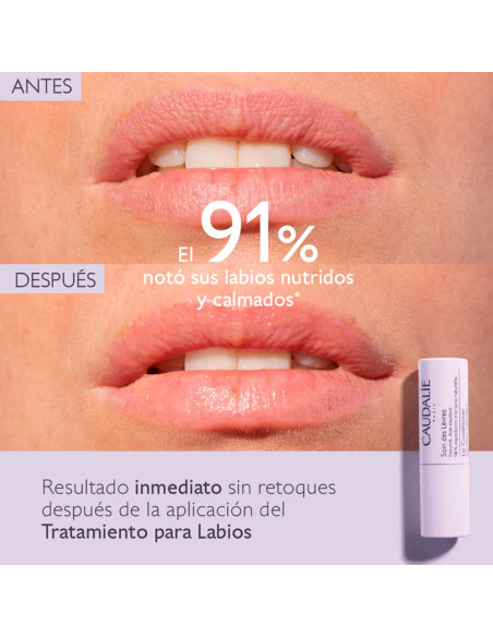 Caudalie Stick de Labios 4,5 g