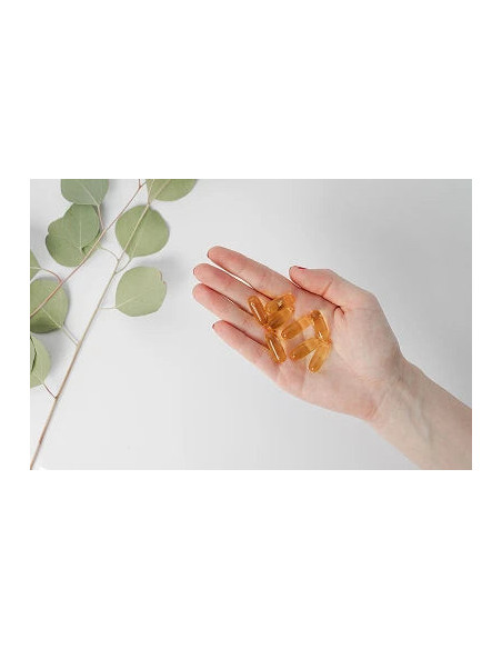 Kobho Trimagnesium 90 Cápsulas