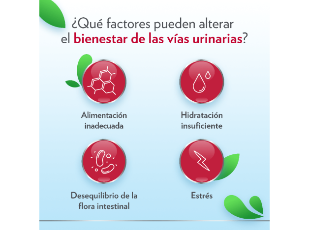 Ginecanes Cystil 14 Sobres