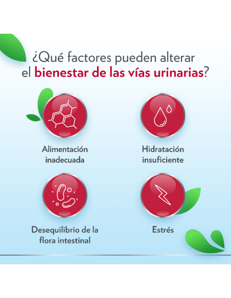 Ginecanes Cystil 14 Sobres