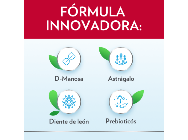 Ginecanes Cystil 14 Sobres
