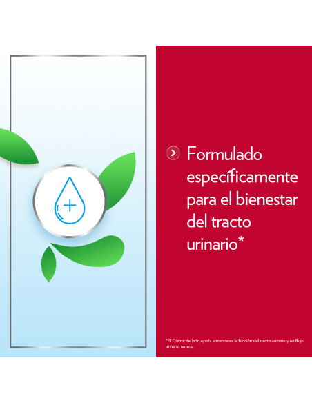 Ginecanes Cystil 14 Sobres