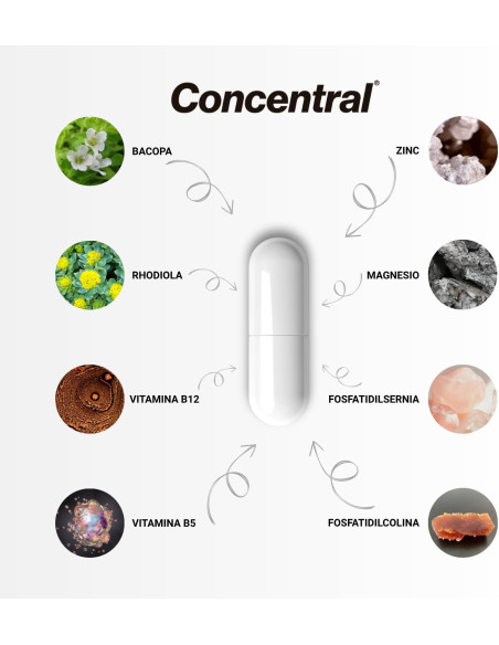 Concentral 30 Cápsulas