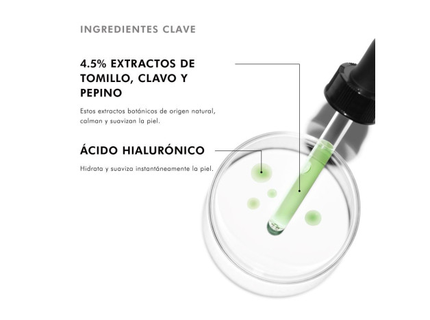 Skinceuticals Phyto Corrective Sérum Piel...