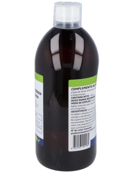 Besibz Densiort Ácido Ortosilicico + Magnésio 1L