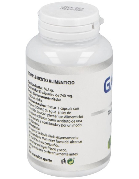 Gaba 550Mg. 90Cap.