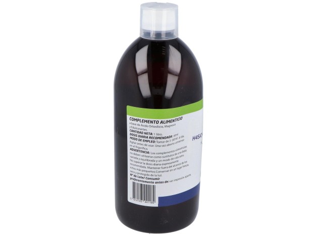 Besibz Densiort Ácido Ortosilicico + Magnésio 1L