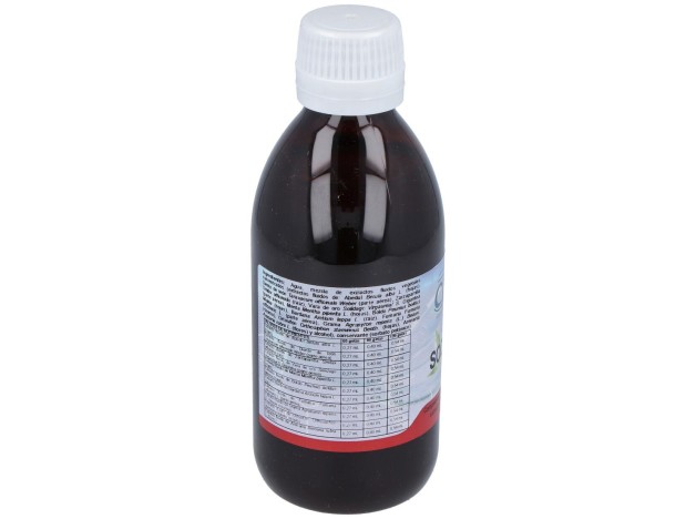 Sodetox 10 250Ml.