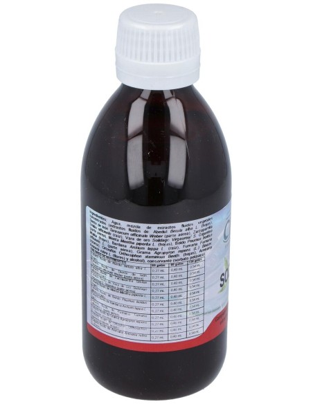 Sodetox 10 250Ml.