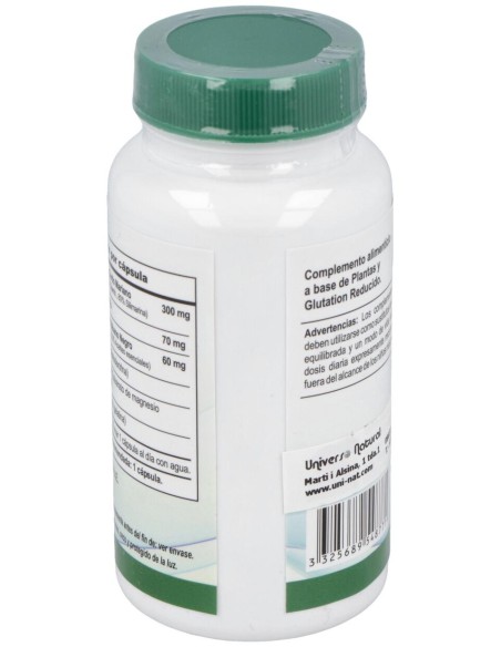 Vbyotics Mega Silymarin 240 %26 Glutation 100Caps