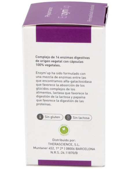 Therascience Physiomance Enzymup 60 Capsulas