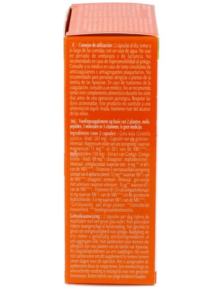 Memoflash Memoria 60Cap Agbio