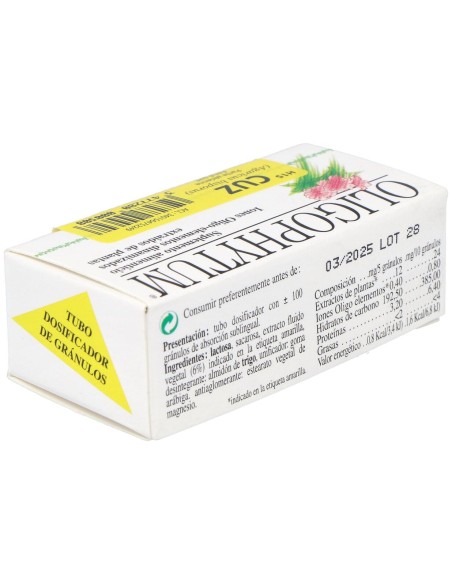 Holistica Oligophytum Zinco 100Comp