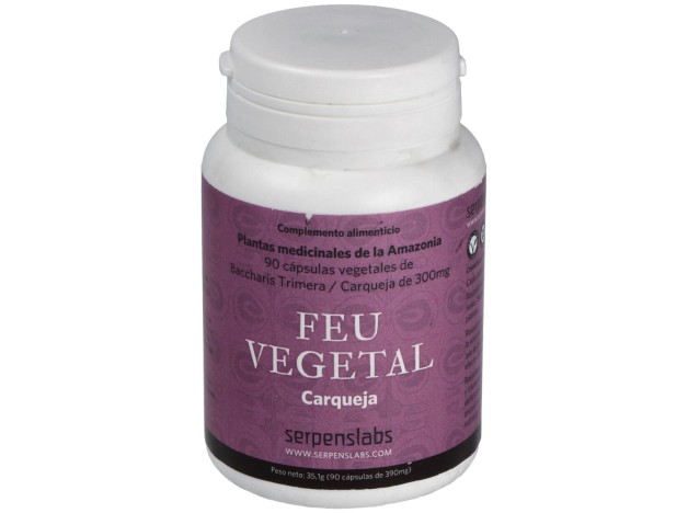 Feu Vegetal Digestion 90Cap.