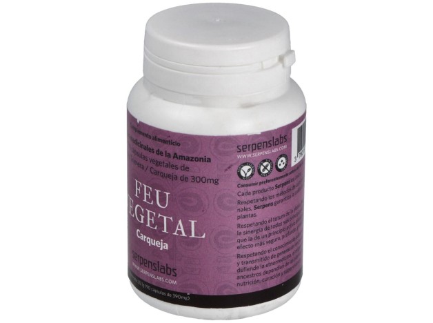 Feu Vegetal Digestion 90Cap.