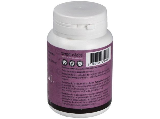 Feu Vegetal Digestion 90Cap.