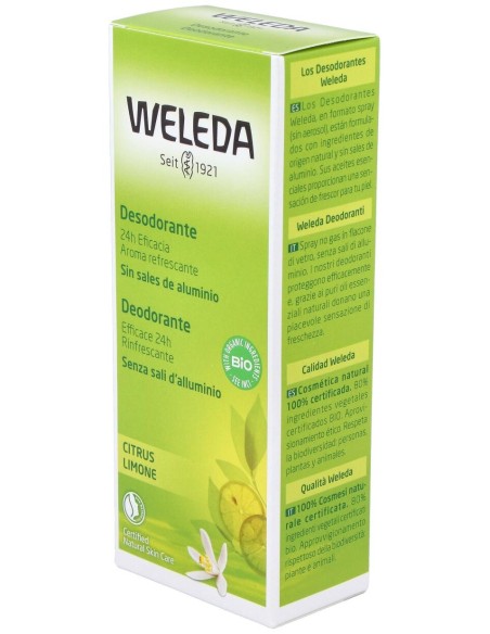 Citrus Desodorante 24H Eficacia Spray 100 Ml