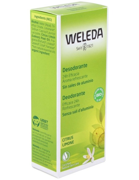Citrus Desodorante 24H Eficacia Spray 100 Ml