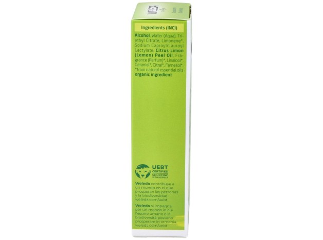 Citrus Desodorante 24H Eficacia Spray 100 Ml
