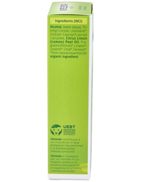 Citrus Desodorante 24H Eficacia Spray 100 Ml