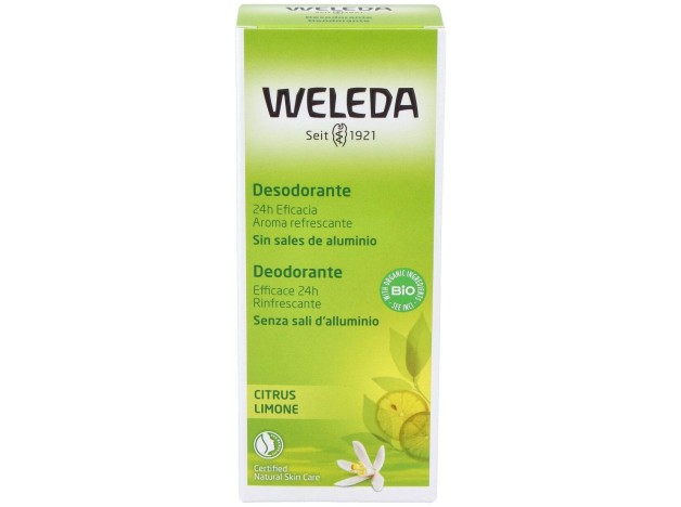 Citrus Desodorante 24H Eficacia Spray 100 Ml