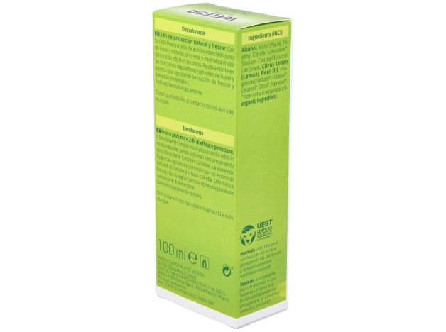 Citrus Desodorante 24H Eficacia Spray 100 Ml