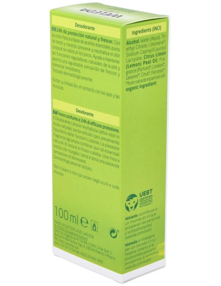 Citrus Desodorante 24H Eficacia Spray 100 Ml