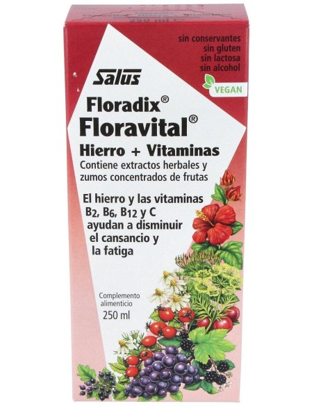 Floradix® Floravital® Hierro+Vitaminas 250Ml