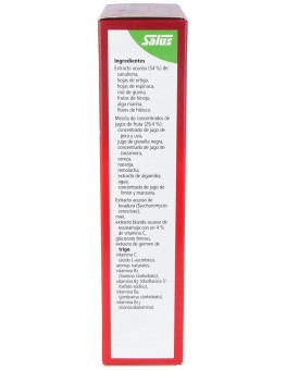 Floradix® Hierro +...