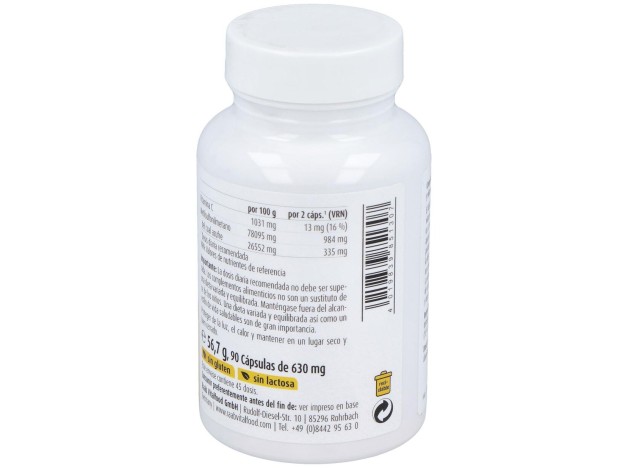 Raab Vitalfood Msm Con Vitamina C 90Caps