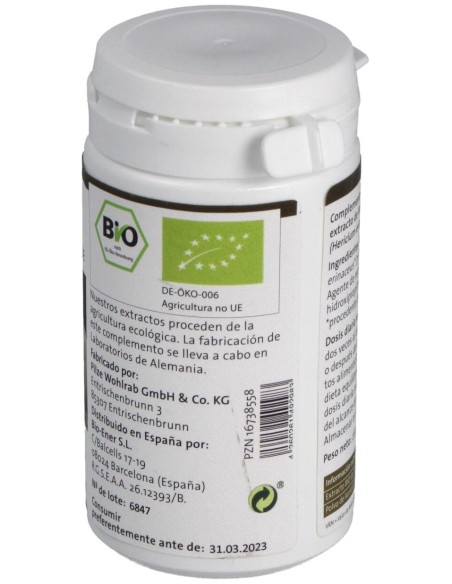 Pilze Wolhrab Melena De León Hericium Bio 60Caps