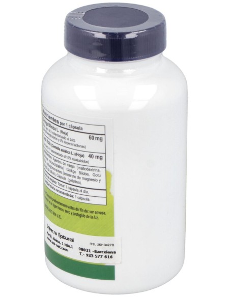 Vbyotics Ginkgo Biloba 60Mg 120Caps