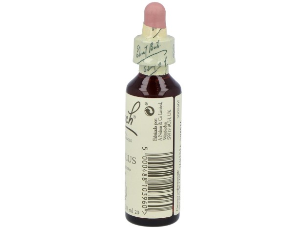 Flores De Bach (20) Mimulus 20 Ml