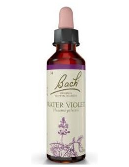 Flores Bach Water Violet...