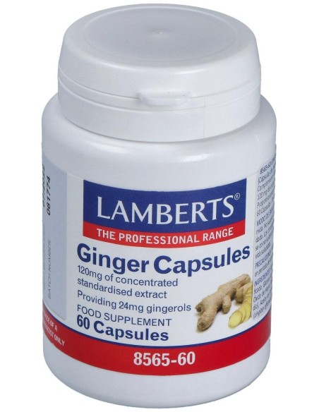 Ginger 12000Mg. Jengibre 60Cap.