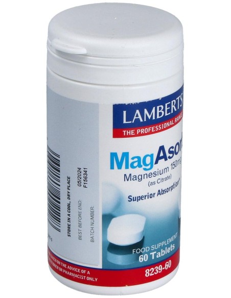 Magasorb 150Mg (Alta Absorcion) 60Comp.